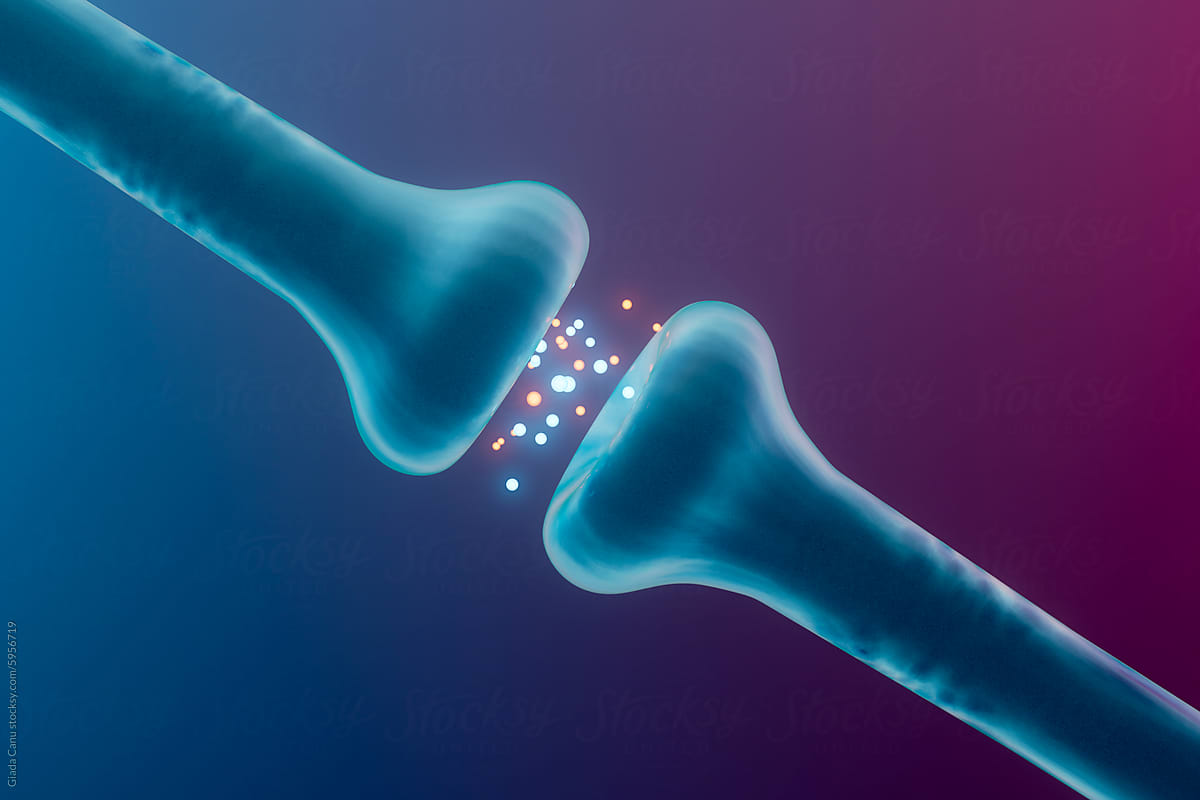 Kako neurotransmiter dopamin utiče na vaš organizam i koja je njegova funkcija?